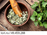 Fresh stinging nettle leaves on wooden table. Stinging nettles,urtica medical herb. Стоковое фото, агентство Ingram Publishing / Фотобанк Лори