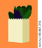 Vegetarian food in package, cucumber and lettuce eggplant collection of vegan products inside container vector illustration on yellow background.. Vegetarian Food in Package Vector Illustration. Стоковая иллюстрация, агентство Ingram Publishing / Фотобанк Лори