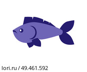 Blue fish cold-blooded vertebrate animal with caudal and dorsal fins, nostrils soft ray, uncooked fresh organism isolated on vector illustration. Blue Fish Vertebrate Animal Vector Illustration. Стоковая иллюстрация, агентство Ingram Publishing / Фотобанк Лори