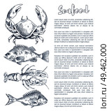 Big lobster and crayfish, bream or bass snack seafood vintage hand drawn vector illustration poster in sketch style with text sample for promotion.. Lobster and Crayfish, Bream or Bass Seafood Poster. Стоковая иллюстрация, агентство Ingram Publishing / Фотобанк Лори