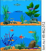 Fish underwater seascape set. School of fish with non-flowering plants seaweed with aquatic animals. Exotic biodiversity diversity vector illustration. Fish Underwater Scape Set Vector Illustration. Стоковая иллюстрация, агентство Ingram Publishing / Фотобанк Лори