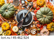 Various colorful organic pumpkins and cooking pot with spoon on kitchen table with nuts , spices and autumn leaves, top view. Autumn still life with pumpkins. Thanksgiving recipes. Flat lay. Seasonal. Стоковое фото, агентство Ingram Publishing / Фотобанк Лори