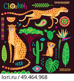 Wild exotic cats, tropical plants and ethnic patterns set. Cheetahs and their cub. Vector illustration of cartoon style.. Wild exotic cats, tropical plants and ethnic patterns set. Cheetahs and their cub. Vector illustration of cartoon style. Стоковая иллюстрация, агентство Ingram Publishing / Фотобанк Лори
