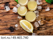 Summer drink.Italian lemon liqueur limoncello and fresh lemon. Lemoncello,Italian lemon liquor. Стоковое фото, агентство Ingram Publishing / Фотобанк Лори