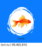 Aquarium Goldfish poster with cutline. Color cartoon marine creature flat vector illustration in centre of white bubble spot on blue background.. Aquarium Gold Fish Picture In White Spot Poster. Стоковая иллюстрация, агентство Ingram Publishing / Фотобанк Лори