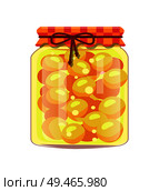 Conservated apricots in unlabeled glass jar with rustic textile. Fruits preservation, preserved summertime food vector. Conservated Apricots in Glass Jar with Rustic Lid. Стоковая иллюстрация, агентство Ingram Publishing / Фотобанк Лори