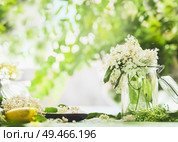 Elderflowers in glass jar on kitchen table with lemon and sugar. Homemade elderflower cooking preparation. Elder flower syrup , jam, tea or lemonade making. Стоковое фото, агентство Ingram Publishing / Фотобанк Лори