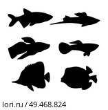 Aquarium animals dark silhouette isolated on white. Saltwater and freshwater pets, boxfish and guppy, butterfly and swordtail fish vector illustration. Aquarium fish dark silhouette isolated on white. Стоковая иллюстрация, агентство Ingram Publishing / Фотобанк Лори