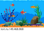 Fish swimming among stones and seaweed in aquarium. Underwater elements, sand and moss, catfish, scalar and zebrafish cartoon vector illustration. Aquarium Fish Swimming Among Stones and Seaweed. Стоковая иллюстрация, агентство Ingram Publishing / Фотобанк Лори