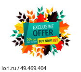 Exclusive offer buy now banner and foliage leaves. Autumn proposition special promotion only one day. Discounts and sellout autumnal clearance vector. Exclusive Offer Buy Now Autumn Vector Illustration. Стоковая иллюстрация, агентство Ingram Publishing / Фотобанк Лори