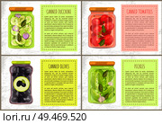 Canned zucchini and tomatoes in glass jar. Container with conserved cucumbers and garlic, leaves and olives. Tagged cans set, vector illustration. Canned Zucchini and Tomatoes Vector Illustration. Стоковая иллюстрация, агентство Ingram Publishing / Фотобанк Лори