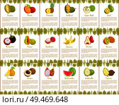 Pomelo and longan, coconut and citron, passion fruit and mango slice. Carambola and cupuacu, papaya and watermelon, salak and marang posters vector. Pomelo and Longan Posters Vector Illustration. Стоковая иллюстрация, агентство Ingram Publishing / Фотобанк Лори