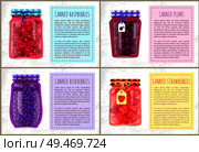 Canned raspberries and plums, blueberries and strawberries organic products. Vector poster with jam and compote jars with small labels isolated.. Poster with Organic Compote or Marmalade Bottles. Стоковая иллюстрация, агентство Ingram Publishing / Фотобанк Лори