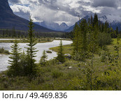 River passing through landscape with mountains in the background, North Saskatchewan River, Icefields Parkway, Jasper, Alberta, Canada. Стоковое фото, агентство Ingram Publishing / Фотобанк Лори