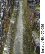 Mayan Ruins, Ancient Mayan Archaeological Site, San Jose Succotz, Cayo District, Belize. Стоковое фото, агентство Ingram Publishing / Фотобанк Лори