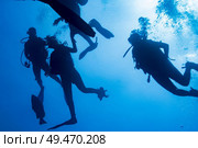 Scuba divers underwater, Tarpon Cayes, Belize Barrier Reef, Lighthouse Reef, Belize. Стоковое фото, агентство Ingram Publishing / Фотобанк Лори