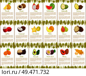 Pomelo and longan, coconut and citron, passion fruit and mango slice. Carambola and cupuacu, papaya and watermelon, salak and marang posters vector. Pomelo and Longan Posters Vector Illustration. Стоковая иллюстрация, агентство Ingram Publishing / Фотобанк Лори