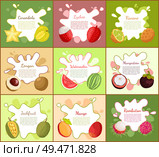 Carambola and lychee posters set with text sample. Mangosteen and jackfruit, watermelon and longan, kiwano tropical fruit. Exotic healthy food vector. Carambola and Lychee Posters Vector Illustration. Стоковая иллюстрация, агентство Ingram Publishing / Фотобанк Лори