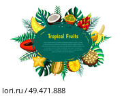 Melon and coconut, kiwano and pitaya, banana and marang, pineapple and durian, carambola and mamey oval frame. Tropical fruits banner with exotic food.. Tropical Fruits Banner with Exotic Food Oval Frame. Стоковая иллюстрация, агентство Ingram Publishing / Фотобанк Лори