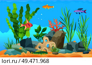 Different exotic fish species in blue water colorful poster. Tropical sea animals, green water weed, staghorn and stones flat vector illustration.. Colorful Cartoon Aquarium Fish Set Promo Poster. Стоковая иллюстрация, агентство Ingram Publishing / Фотобанк Лори