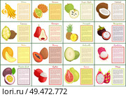 Citron and bael posters set text sample and tropical fruits vector. Melon and papaya, mangosteen and mamey, ambarella and pineapple cupuacu coconut. Citron and Bael Papaya Melon Posters Set Vector. Стоковая иллюстрация, агентство Ingram Publishing / Фотобанк Лори