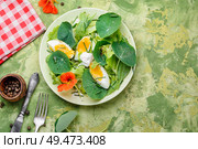 Salads from flowers and leaves of nasturtium with egg. Indian salad.Diet kitchen.Summer salad. Summer nasturtium salad. Стоковое фото, агентство Ingram Publishing / Фотобанк Лори