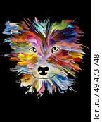 Splash painting of a dog on black background on subject of love, friendship, faithfulness, companionship between dog and man. God bless animals series. Стоковое фото, агентство Ingram Publishing / Фотобанк Лори