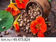 Seeds, leaves and flowers of nasturtium.Spice.Herbal medicine.Healing flowers. Seeds,and flowers of nasturtium. Стоковое фото, агентство Ingram Publishing / Фотобанк Лори