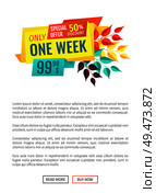 Special offer exclusive sale banner and leaves poster with text. Promotion shopping clearance retail in market. Discounts and sellout proposals vector. Special Offer Exclusive Sale Vector Illustration. Стоковая иллюстрация, агентство Ingram Publishing / Фотобанк Лори