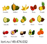 Lychee and carambola set with names and tropical fruits vector. Pineapple and cupuacu, bael and mamey salak and avocado, kumquat and kiwano ambarella. Lychee and Carambola Avocado Set Names Vector. Стоковая иллюстрация, агентство Ingram Publishing / Фотобанк Лори