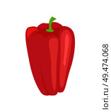 Pepper raw fresh vegetable isolated vector. Paprika sweet veggie edible vegetarian meal. Uncooked ingredient red bulgarian cayenne whole organic product. Pepper Raw Fresh Vegetable Vector Illustration. Стоковая иллюстрация, агентство Ingram Publishing / Фотобанк Лори