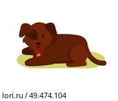 Faithful watchdog puppy farm animal in cartoon style. Domestic dog animal as pet and household helper vector illustration in color isolated on white.. Faithful Watchdog Farm Animal Cartoon Style Poster. Стоковая иллюстрация, агентство Ingram Publishing / Фотобанк Лори