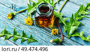 Medicinal plant dandelion or Taraxacum officinale.Dandelion leaves.Herbal medicine. Dandelion tincture in bottle. Стоковое фото, агентство Ingram Publishing / Фотобанк Лори