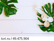 Coconut oil and cosmetics with green tropical green leaves on white wooden background. Coconut oil nd cosmetics. Стоковое фото, агентство Ingram Publishing / Фотобанк Лори