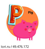 Pig plump character is for P letter in english crisscross-row. Vector cartoon abecedarian poster with piglet for children and kids language lesson.. Cartoon Pig is for P Letter Children Zoo Alphabet. Стоковая иллюстрация, агентство Ingram Publishing / Фотобанк Лори