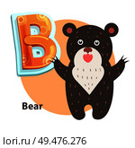 Bear word for B letter or sound spelling and remembering. Children vector alphabet flashcard isolated with cartoon character roaring taliped beary.. Cartoon Roaring Taliped Bear Representing B Letter. Стоковая иллюстрация, агентство Ingram Publishing / Фотобанк Лори