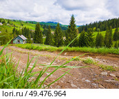 Scenic view of a cuontry road leading to an old village of wooden cabins on the hills of Carpathians. Sunny spring day with green grass, flowering meadows and evergreen forests. . Стоковое фото, агентство Ingram Publishing / Фотобанк Лори