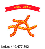 Bacteria of bacillus cereus type. Poster with red banner on top. Viral microorganism causing problems and diseases in human body isolated  vector. Bacteria Bacillus Cereus Icon Vector Illustration. Стоковая иллюстрация, агентство Ingram Publishing / Фотобанк Лори