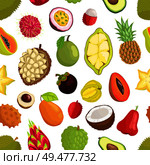 Avocado and cupuacu, salak and kumquat, lychee and bael, papaya and mango, carambola and pineapple, guava vector seamless pattern of tropical fruits. Seamless Pattern of Tropica Fruits Avocado and Cupuacu. Стоковая иллюстрация, агентство Ingram Publishing / Фотобанк Лори