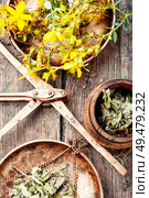 Medicinal hypericum on medical scales.Medicinal herbs.Healing herbs on wooden table. Fesh yellow flowers Hypericum. Стоковое фото, агентство Ingram Publishing / Фотобанк Лори