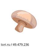 Champignon mushroom isolated vector icon in cartoon style. Fresh and raw fungus with cap and stipe, hand drawn single badge, cafe menu cover emblem. Champignon Mushroom Vector Icon in Cartoon Style. Стоковая иллюстрация, агентство Ingram Publishing / Фотобанк Лори