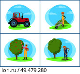 Farmer with rake working on field isolated set vector. Tractor agricultural machinery driving on land. Woman picking apples from fruit tree in pannier. Farmer with Rake on Field Vector Illustration. Стоковая иллюстрация, агентство Ingram Publishing / Фотобанк Лори