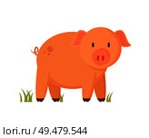 Pinkish pig or piglet standing on grass colorful vector illustration. Farm animal character in cartoon style on white background pictorial poster.. Farm Animal Standing Piglet Cartoon Illustration. Стоковая иллюстрация, агентство Ingram Publishing / Фотобанк Лори