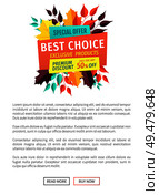 Best choice exclusive offer poster. Banner ornate with autumn leaves. Discounts and sales business proposition seasonal clearance special deal vector. Best Choice Exclusive Offer Vector Illustration. Стоковая иллюстрация, агентство Ingram Publishing / Фотобанк Лори