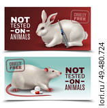 Not tested on animals horizontal banners with rabbit rat medical syringe and pills realistic images vector illustration . Not Tested On Animals Banners. Стоковая иллюстрация, агентство Ingram Publishing / Фотобанк Лори