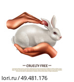 Cruelty free design concept with little cute rabbit in human hands as symbol of animals protection realistic vector illustration . Cruelty Free Design Concept . Стоковая иллюстрация, агентство Ingram Publishing / Фотобанк Лори