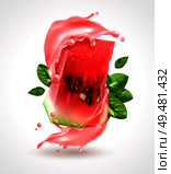 Watermelon party serving triangle wedge piece realistic composition with juice splash and fresh basil leaves vector illustration . Watermelon Splash Realistic Composition . Стоковая иллюстрация, агентство Ingram Publishing / Фотобанк Лори