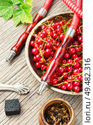 Hookah mouthpiece.Fruit shisha aroma.Tabak with red currant flavor.Kalian smoking with berry. Arabia shisha with currant tobacco. Стоковое фото, агентство Ingram Publishing / Фотобанк Лори