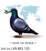 Bird background with image of pigeon holding branch with green leaves in front of world map vector illustration. Стоковая иллюстрация, агентство Ingram Publishing / Фотобанк Лори
