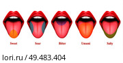 Tongue taste areas realistic vector Illustration with five basic sections of gustation exactly sweet salty sour bitter and umami. Стоковая иллюстрация, агентство Ingram Publishing / Фотобанк Лори
